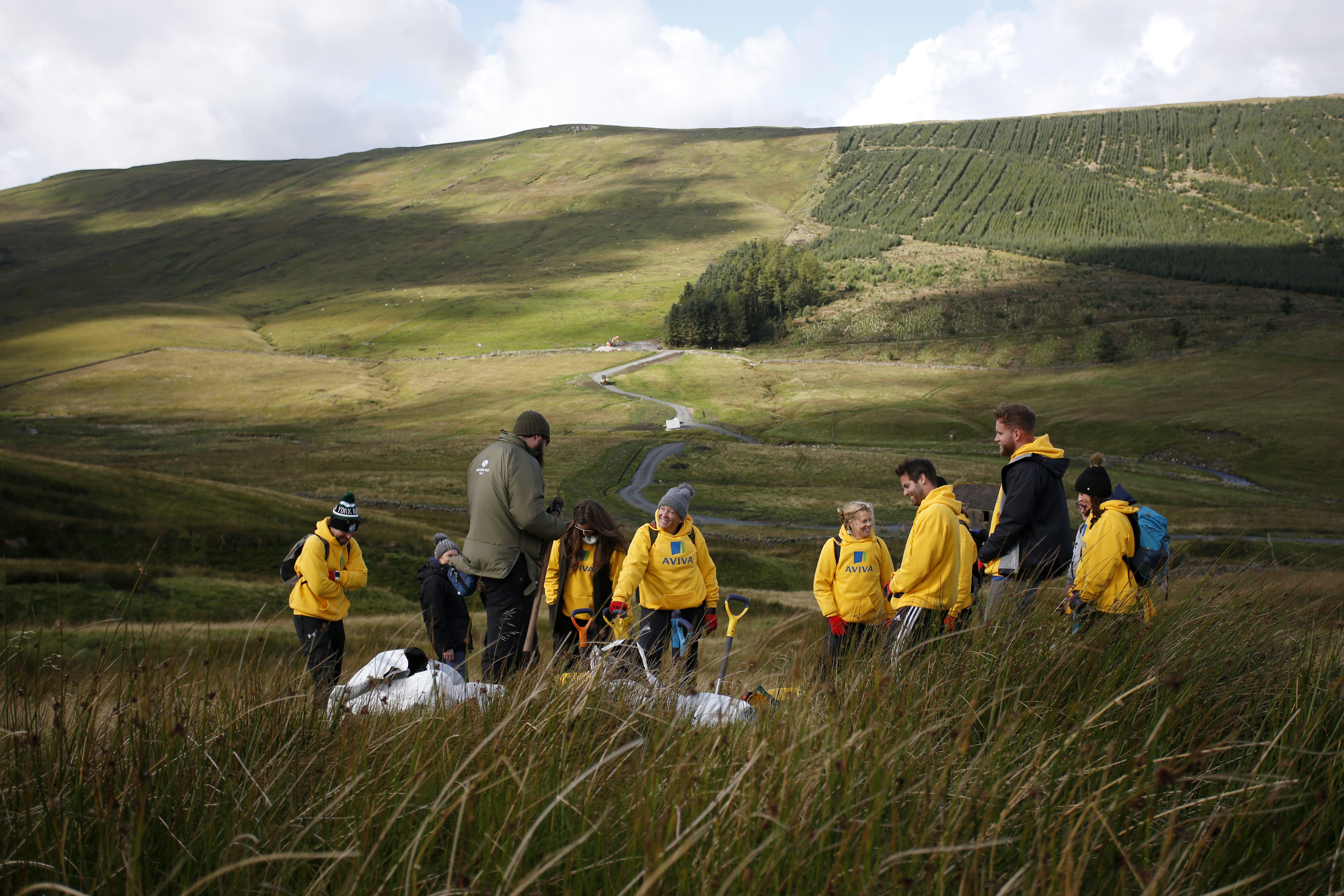 Colleagues using their volunteering time to plant trees 