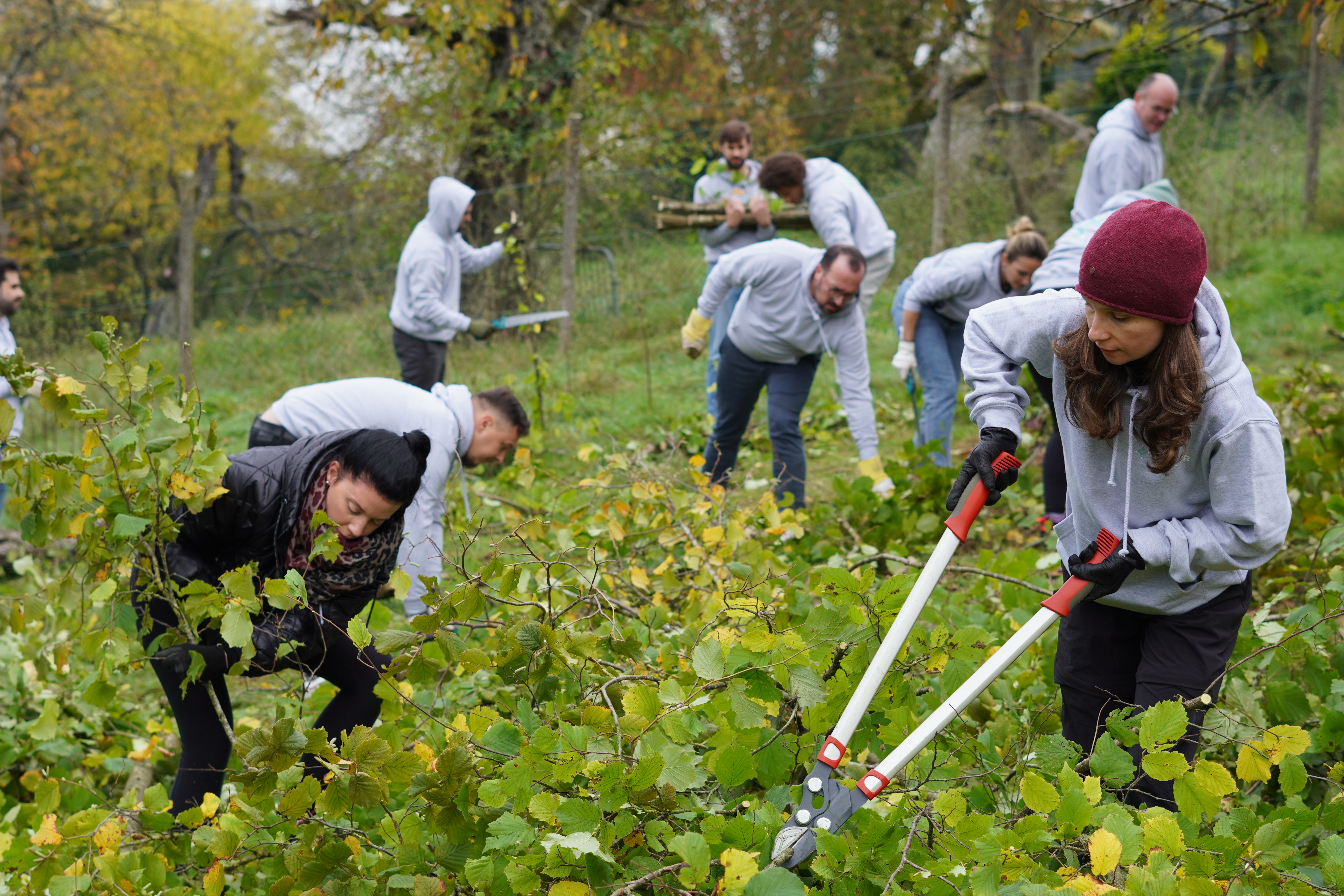 Logicor Environmental Volunteer Day - Luxembourg 2024